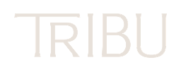 Natural Tribu logo, organic products company. Slyn's client.