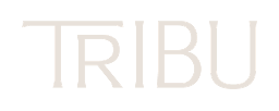 Una de las empresas de productos orgánicos más innovadoras de Monterrey, México. Logotipo de Natural Tribu, empresa de productos ecológicos. Cliente de Slyn.